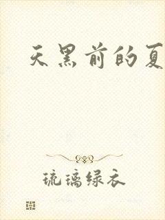 天黑前的夏天