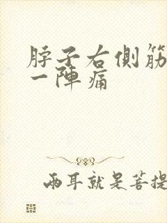 脖子右侧筋一阵一阵痛封面