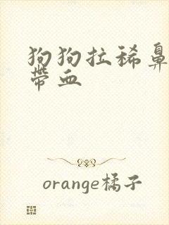 狗狗拉稀鼻涕状带血