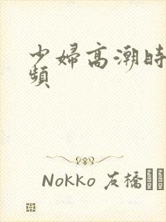 少妇高潮时候视频