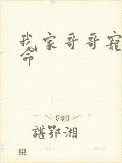 我家哥哥宠妹如命