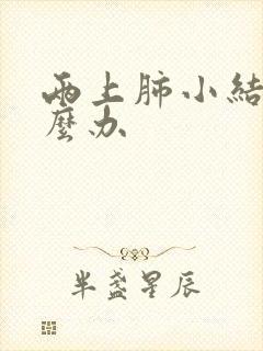 两上肺小结节怎么办