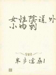 女性阴道外阴口小肉刺