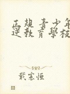 正规 青少年叛逆教育学校封面