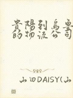 贵阳到乌鲁木齐的物流公司