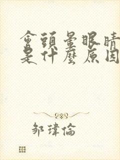 会头晕眼睛模糊是什么原因封面