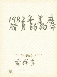 1982年农历腊月的狗命运如何封面