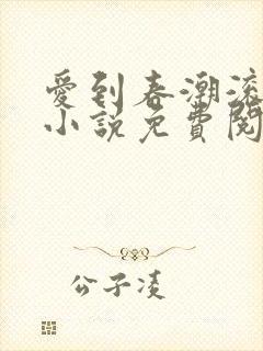 爱到春潮滚滚来小说免费阅读封面