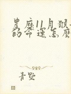 农历11月猴女的命运怎么样