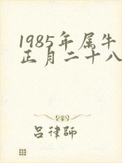 1985年属牛正月二十八出生 今年运势如何