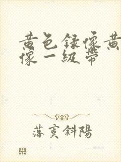 黄色录像黄色录像一级带