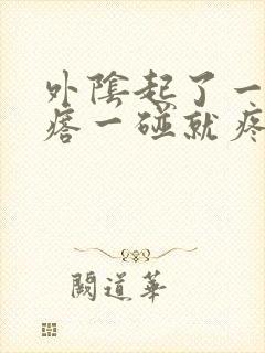 外阴起了一个疙瘩一碰就疼