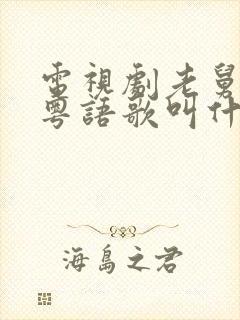 电视剧老舅插曲粤语歌叫什么封面