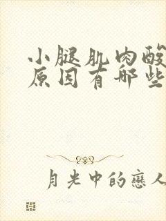 小腿肌肉酸痛的原因有哪些封面