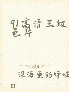 91高清三级黄色片