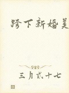 跨下新婚美妇封面