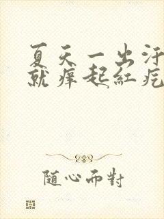 夏天一出汗身上就痒起红疙瘩