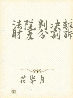 法院判决离婚后财产分割诉讼时效