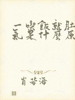 一吃饭就肚子胀气是什么原因封面