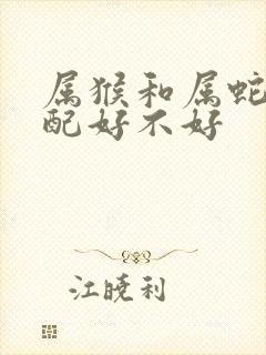 属猴和属蛇的婚配好不好