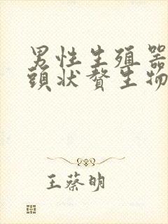 男性生殖器有乳头状赘生物