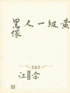黑人一级黄色录像