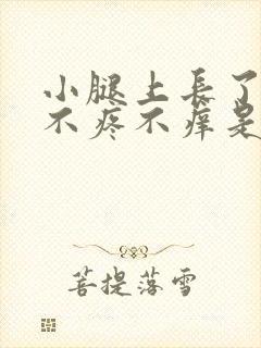 小腿上长了疙瘩不疼不痒是怎么回事