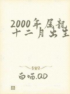 2000年属龙十二月出生的命运