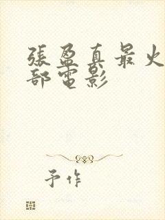 张盈真最火的三部电影