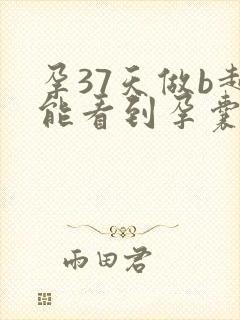 孕37天做b超能看到孕囊吗