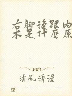 右脚后跟内侧麻木是什么原因