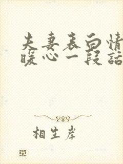 夫妻表白情话最暖心一段话封面