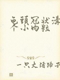 龟头冠状沟有几个小肉粒封面