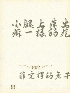 小腿上痒出的像癣一样的疙瘩