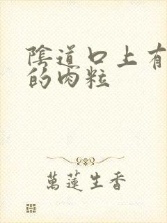 阴道口上有白色的肉粒