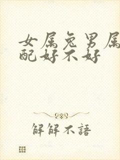 女属兔男属龙婚配好不好