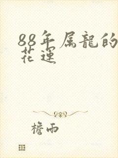 88年属龙的桃花运