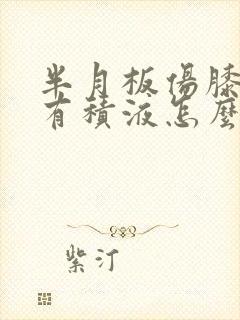 半月板伤膝关节有积液怎么治封面