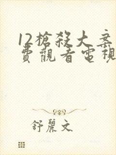 12枪杀大案免费观看电视剧