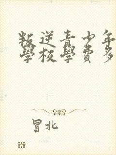 叛逆青少年管理学校学费多少钱封面