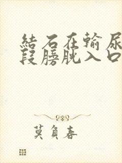 结石在输尿管下段膀胱入口处