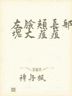 左脸颊长那种硬块大痘痘