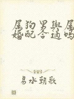 属狗男与属猴女婚配合适吗