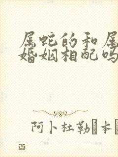 属蛇的和属鸡的婚姻相配吗