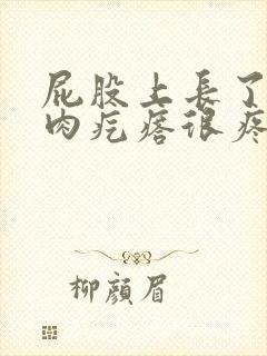 屁股上长了一个肉疙瘩很疼