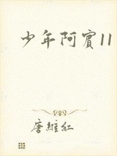 少年阿宾11封面