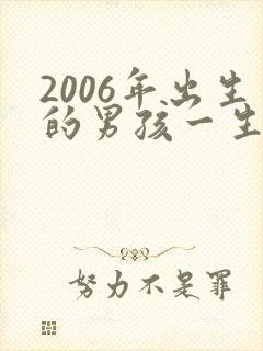 2006年出生的男孩一生命运