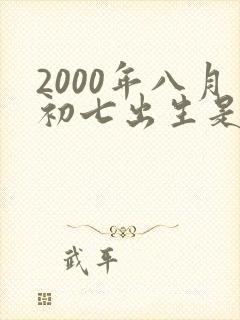 2000年八月初七出生是什么命