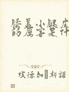 膝盖小腿皮肤痒的厉害是什么原因