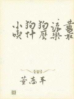 小狗狗流黄鼻涕吃什么药最好